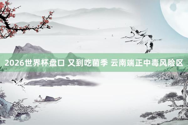 2026世界杯盘口 又到吃菌季 云南端正中毒风险区