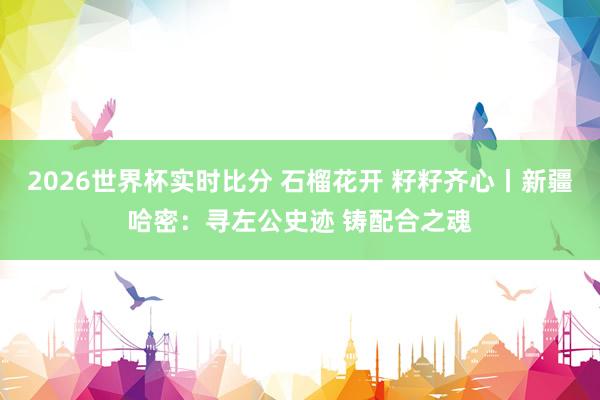 2026世界杯实时比分 石榴花开 籽籽齐心丨新疆哈密：寻左公史迹 铸配合之魂