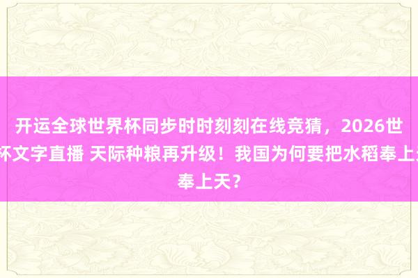 开运全球世界杯同步时时刻刻在线竞猜，2026世界杯文字直播 天际种粮再升级！我国为何要把水稻奉上天？