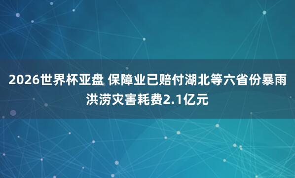 2026世界杯亚盘 保障业已赔付湖北等六省份暴雨洪涝灾害耗费2.1亿元