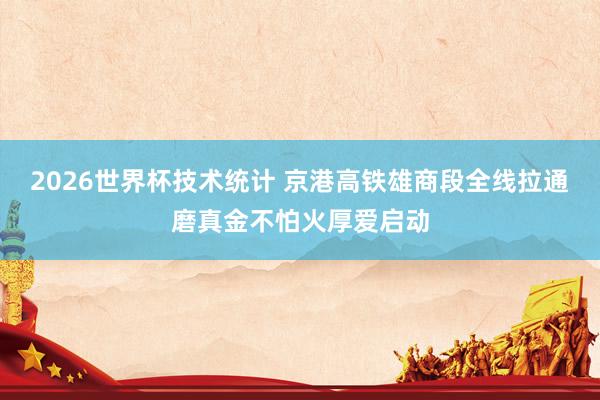 2026世界杯技术统计 京港高铁雄商段全线拉通磨真金不怕火厚爱启动