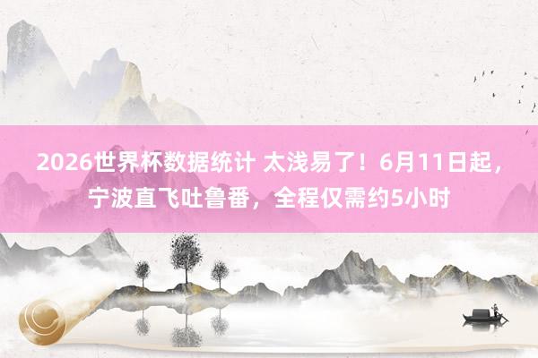 2026世界杯数据统计 太浅易了！6月11日起，宁波直飞吐鲁番，全程仅需约5小时