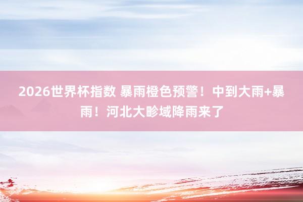 2026世界杯指数 暴雨橙色预警！中到大雨+暴雨！河北大畛域降雨来了