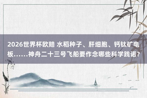 2026世界杯欧赔 水稻种子、肝细胞、钙钛矿电板……神舟二十三号飞船要作念哪些科学践诺？