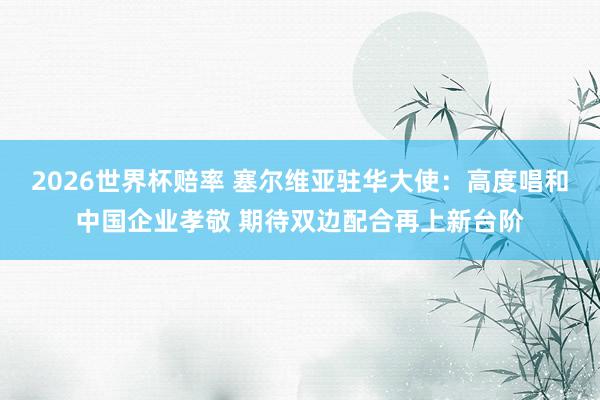 2026世界杯赔率 塞尔维亚驻华大使：高度唱和中国企业孝敬 期待双边配合再上新台阶