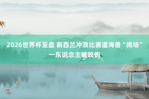 2026世界杯亚盘 新西兰冲浪比赛遭海兽“闹场”　一东说念主被咬伤