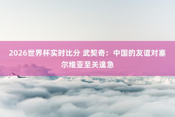 2026世界杯实时比分 武契奇：中国的友谊对塞尔维亚至关遑急