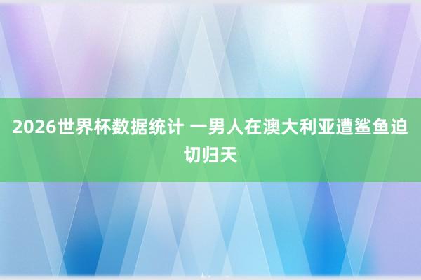 2026世界杯数据统计 一男人在澳大利亚遭鲨鱼迫切归天