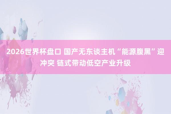 2026世界杯盘口 国产无东谈主机“能源腹黑”迎冲突 链式带动低空产业升级