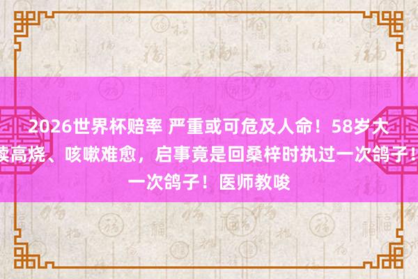 2026世界杯赔率 严重或可危及人命！58岁大姨难受持续高烧、咳嗽难愈，启事竟是回桑梓时执过一次鸽子！医师教唆