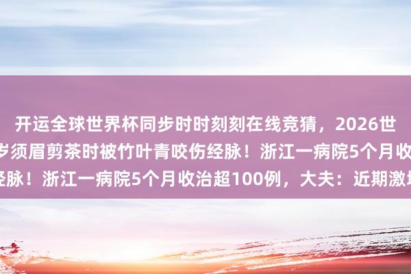 开运全球世界杯同步时时刻刻在线竞猜，2026世界杯文字直播 浙江52岁须眉剪茶时被竹叶青咬伤经脉！浙江一病院5个月收治超100例，大夫：近期激增