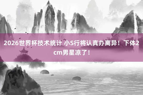 2026世界杯技术统计 小S行将认真办离异！下体2cm男星凉了！
