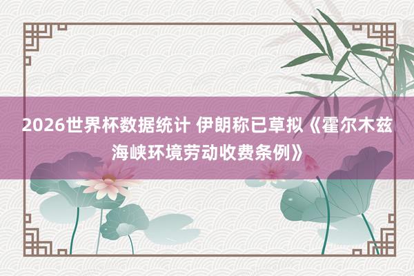 2026世界杯数据统计 伊朗称已草拟《霍尔木兹海峡环境劳动收费条例》