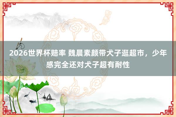 2026世界杯赔率 魏晨素颜带犬子逛超市，少年感完全还对犬子超有耐性