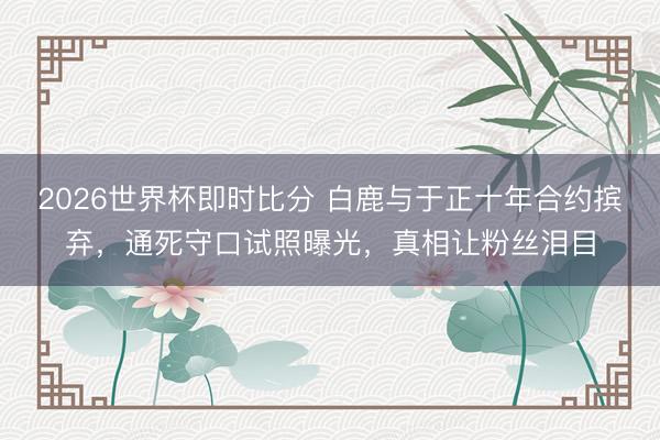 2026世界杯即时比分 白鹿与于正十年合约摈弃，通死守口试照曝光，真相让粉丝泪目