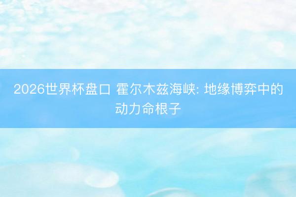 2026世界杯盘口 霍尔木兹海峡: 地缘博弈中的动力命根子