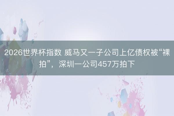 2026世界杯指数 威马又一子公司上亿债权被“裸拍”，深圳一公司457万拍下
