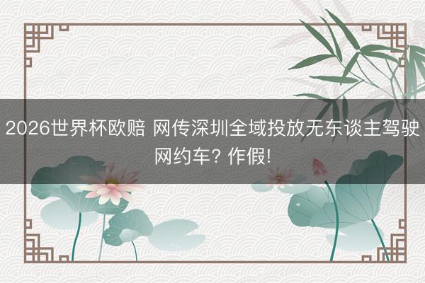 2026世界杯欧赔 网传深圳全域投放无东谈主驾驶网约车? 作假!